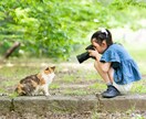 写真教室 初心者歓迎　写真レッスンいたします 写真教室 初心者の方〜マニア  プロの方もOK イメージ6