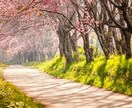 アダルトチルドレンのあなたの最大の味方になります 虐待経験者の私があなたと同じ痛みを分かち合います イメージ6