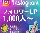 あなたのインスタを宣伝しフォロワーを増やします 最速でInstagaramのフォロワーを1000~増やします イメージ1