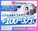 限定3000円/Web広告運用プロが個別相談します 【最大60分の個別相談を受付中】相談～改善提案までサポート イメージ7