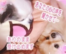 関西弁で優しくあなたに寄り添います 少しだけ話がたい、ただ聞いてほしい、何でもお話お聞きします イメージ3
