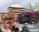 ブラジルの見たい、行きたいに応える情報提供できます 居住経験があるからわかる!あなたの興味・疑問に応えられます イメージ7