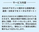プロのチームが企業のためのSNS運用代行いたします 価値のあるサービスで結果にコミット【小規模企業の戦略】 イメージ4