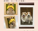 お部屋を彩る羊毛フェルト作品をお届けします 羊毛フェルトが生み出す、穏やかなインテリア空間 イメージ4
