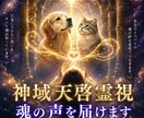 ペットの気持ちを24時間以内に霊視します ペットとあなたを結ぶ魂の光糸を霊視し声なき想いを読み解きます イメージ1