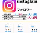 インスタグラム【低品質】フォロワー増やします 2000人増加//減少保証なし//数量選択可能// イメージ1