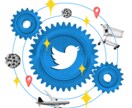 Twitterのフォロワーを増やします Twitterフォロワー1000人増やします！ イメージ1