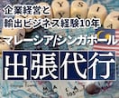 マレーシア、シンガポールで現地調査や営業を行います 現地の市場調査/マーケティング、営業をお任せください。 イメージ1