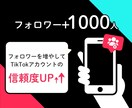 TikTokフォロワー数増やします フォロワー数UPで夢のバズりをすぐに実現♪ イメージ1