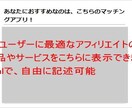 WPの診断チャートプラグインのマニュアル提供します オリジナル性が上がり、検索順位10位以内を目指せます。 イメージ4