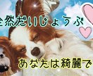 摂食障害に振り回されてしまう生き方を共感します ２４キロから７２キロまでの経験者があなたに寄り添います。 イメージ1