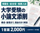 現役上智大生が大学受験に向けた小論文添削します 帰国子女出身者が丁寧に添削します！ イメージ1