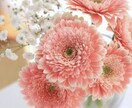 どんなお話も✨男性女性お気軽に♪癒して寄り添います 癒しのお姉さん✨1分から、お待ちしております♡ イメージ2