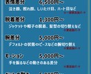 Vtuber向けのLive2Dモデリング承ります 「やりたい」を全部詰め込む！商用利用OK イメージ3