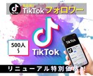 TikTokのフォロワー増やします リニューアルスタート"特別価格"50名様限定‼︎ イメージ1