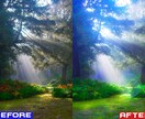 クオリティ自慢！写真をアニメ調に加工します 登録者一万人超えyoutuberによる安心の高クオリティ！ イメージ6