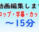 初回1500円で15分以内の動画編集します 修正回数無制限で字幕やテロップ、簡単な動画編集をします。 イメージ1