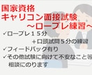国家資格キャリアコンサルタント面接試験サポートます ★一発合格した経験をもとにロープレ練習のお相手になります★ イメージ1