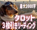 恋愛や仕事など何でもタロット３枚引きで占います 現状・対策・結果を明らかにし総合的なアドバイスをします。 イメージ1