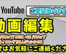 動画編集の代行をいたします SNSで動画投稿を考えられている方！ イメージ1