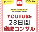 あなたのYouTube運用を28日間コンサルします 目標を達成するための最適な道筋をご提案！ イメージ1
