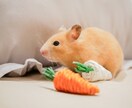 旅立った大切なペットの想いをお伝えします あの子は今何を想っている？霊感タロットでメッセージをあなたへ イメージ8