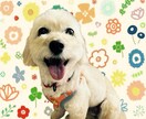 魂でつながる、愛しいペットの声をお届けします 言葉にできない想いを、霊感とタロットでそっと紡ぎます イメージ3