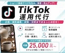 ココナラ限定！　TikTokの運用を代行します ショート動画で認知拡大・集客を支援します！ イメージ1