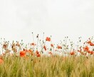 発達障害学習支援サポーター認定試験過去問教えます 発達支援サポーターの過去問、対策問題を提供します。 イメージ6