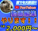 誰でも大歓迎！！Youtubeの動画編集行います 初めてご購入される方でも喜んで受注いたします！ イメージ1