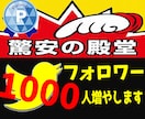 ツイッター1000フォロワー増えるまで拡散します 小規模からの注文も可能⭐️1週間の減少保証あり イメージ3