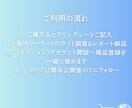 海外マーケットのライト調査＆出品スタート支援ます どの国・どのモールから始めるか1週間で方向性を出します イメージ3