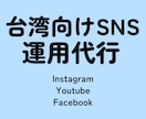 台湾向けSNSを運用代行します インスタ・Youtube・Facebookを中国語のみで イメージ1