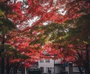 風景・旅行写真を落ち着いた雰囲気にレタッチします RAWデータを元にアンダーで雰囲気ある色味に丁寧に仕上げます イメージ4