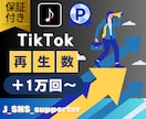 TikTokの再生数を＋1万回増加させます 【いいね等オプションあり】【少量注文も対応】【再生回数増加】 イメージ2