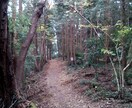 精神的に不安定な方を応援します。愚痴でもいい。何でも相談して下さい。 イメージ2