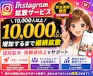 インスタグラムのフォロワー10,000人増やします instagram|拡散|フォロワー|増加 |保証有|即対応 イメージ1