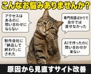 診断込・SEOとAI検索で集客するHPを制作します ワードプレスで文章･デザイン･SEOを丸ごとリニューアル イメージ2