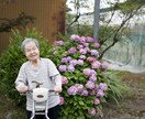 あなた向けの間違いないカメラを選びます カメラマン経験から最適なカメラを選びます。子供向けetc.. イメージ4