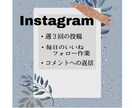 Instagram運用致します あなたのインスタグラムを、あなたに代わって運用します！ イメージ2