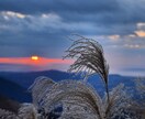 画像編集、風景写真を、日常系を取り扱ってます より美しく、より綺麗なものを追求します。 イメージ4