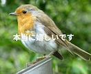 ひきこもり・生きづらさを抱えるあなたのお話聴きます 元当事者が聴くチャット相談【1日チャット・メッセージ無制限】 イメージ5