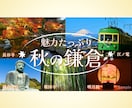 女性向け✨WEB画像をお作りします ✨SNS広告バナー／ヘッダー／サムネイル／FVも同価格！ イメージ10
