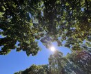 あなたの心にそっと触れさせていただきます ネオン街38年波乱万丈を駆け抜けた女帝が『ズバリ言うわよ！』 イメージ1