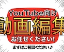 YouTube向け☆動画編集いたします 動画素材30分以内でこの料金は安い！！ イメージ2