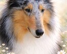 写真から可愛いペット似顔絵を作成します 誕生日や記念日のプレゼントにもおすすめです イメージ2