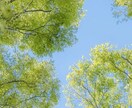 楽しくおしゃべり！雑談相手になります 女友達感覚で気軽におしゃべり！短い時間でもOK◎ イメージ3