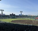 中高生、受験生へおすすめします 受験指導。志望理由、小論文など添削、代行 イメージ1