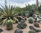 現役植木屋が観葉植物、お花や植栽のアドバイスします 現役で働いてますのでなんでも質問受付てます！ イメージ2