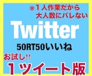Twitter拡散！Twitter宣伝します ▶︎1ツイート50RT50いいねします！ イメージ1